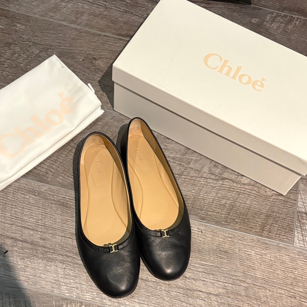 Chloe Ballerina Leather Flats